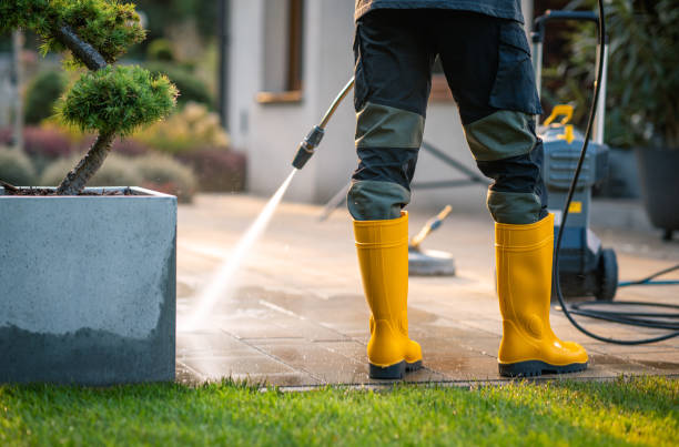 Best Local Pressure Washing Services  in Haughton, LA